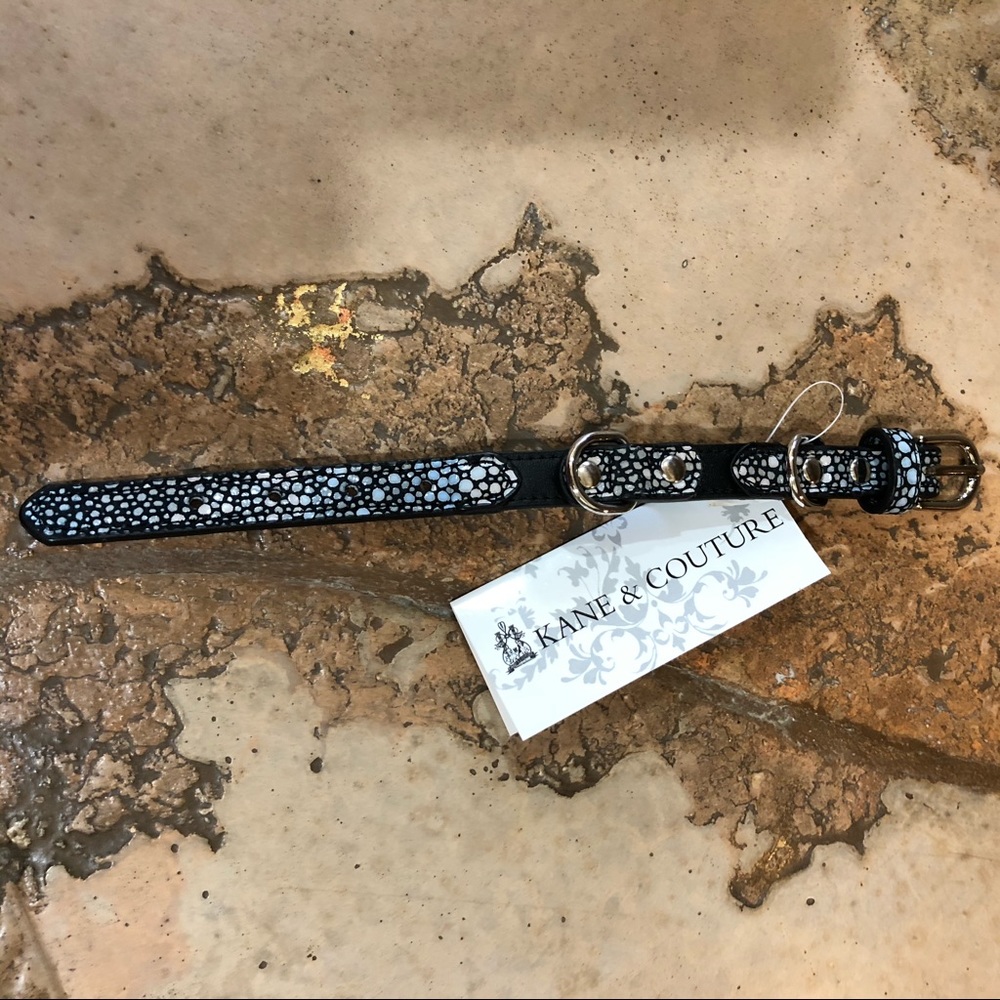 $5  Blowout! Designer Collar - Belt Buckle Closure